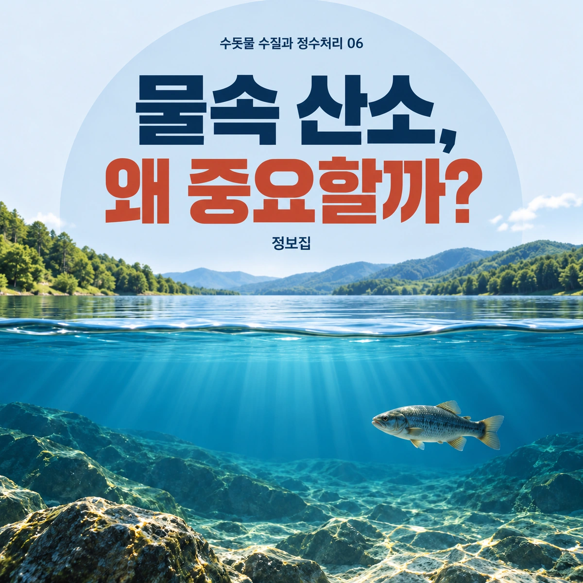 물속 산소, 왜 중요할까?를 주제로 한 개념 일러스트. 물에 녹아 있는 산소와 눈에 보이는 기포는 다릅니다.