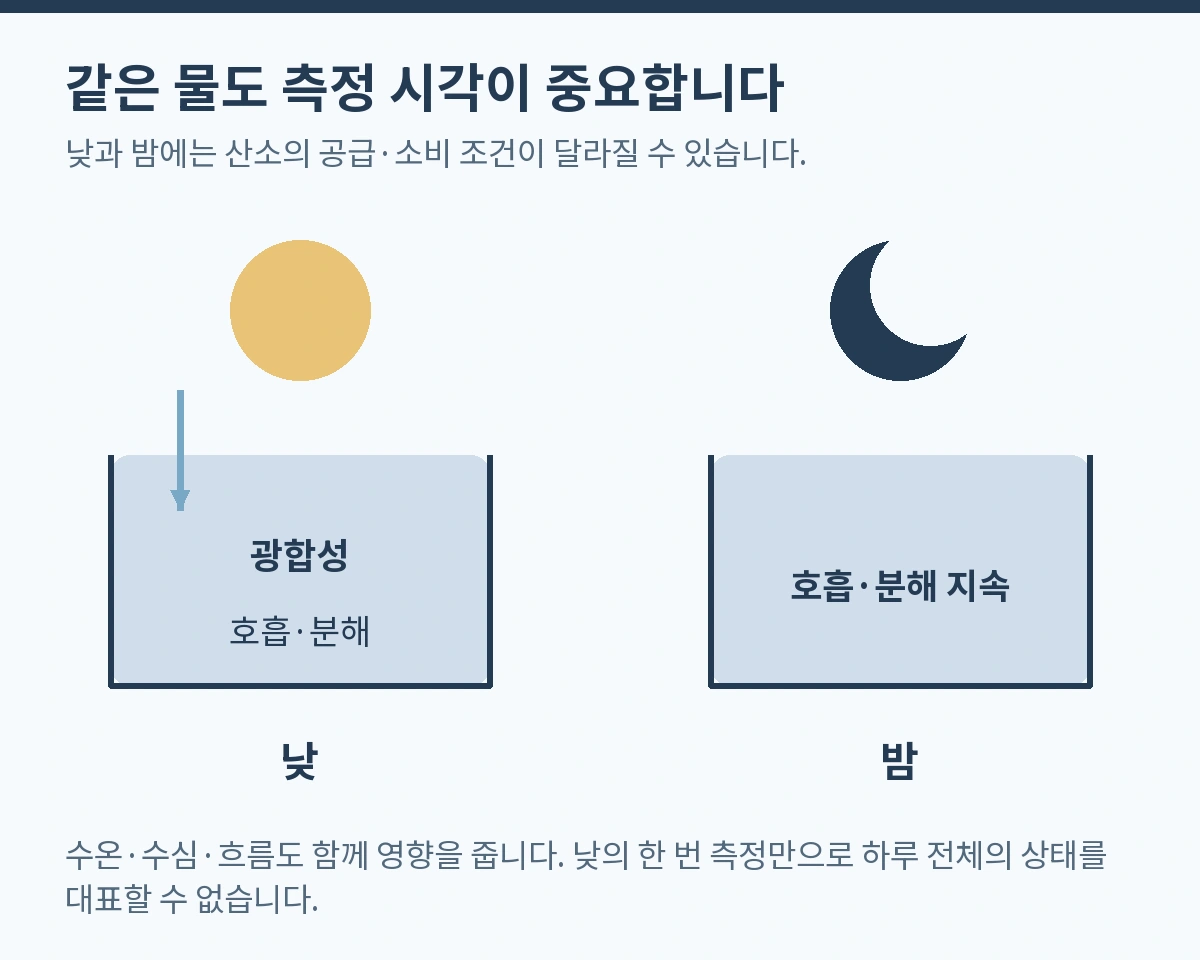 같은 물도 측정 시각이 중요합니다. 낮과 밤에는 산소의 공급·소비 조건이 달라질 수 있습니다.