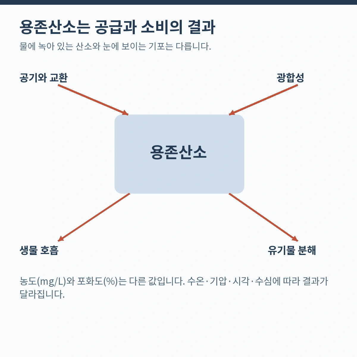 용존산소는 공급과 소비의 결과. 물에 녹아 있는 산소와 눈에 보이는 기포는 다릅니다.