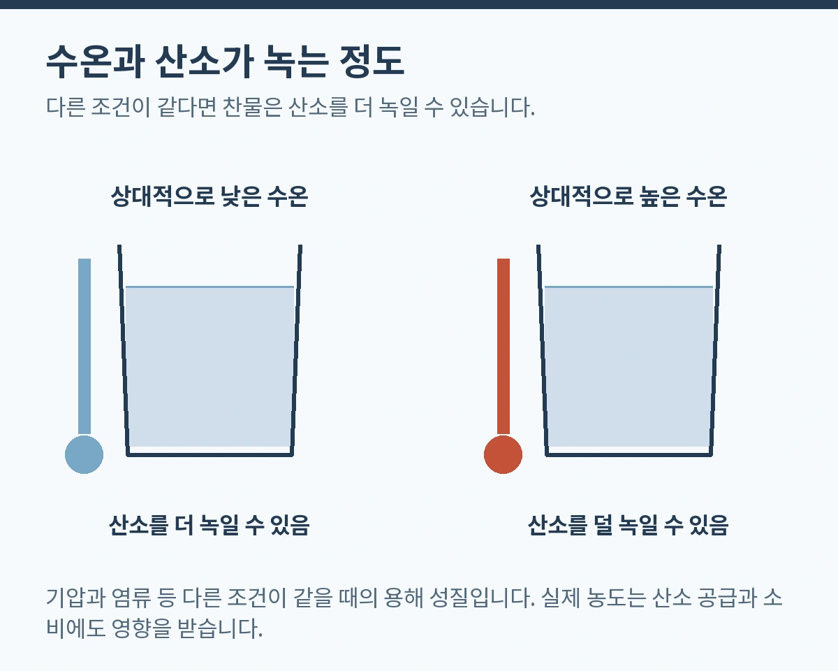 수온과 산소가 녹는 정도. 다른 조건이 같다면 찬물은 산소를 더 녹일 수 있습니다.